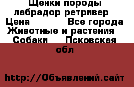 Щенки породы лабрадор ретривер › Цена ­ 8 000 - Все города Животные и растения » Собаки   . Псковская обл.